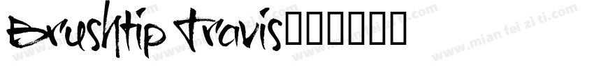 Brushtip Travis字体转换